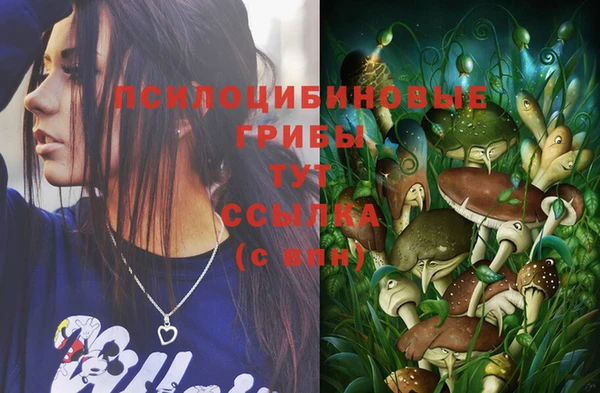 a pvp Зеленодольск