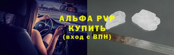 гашик Зерноград