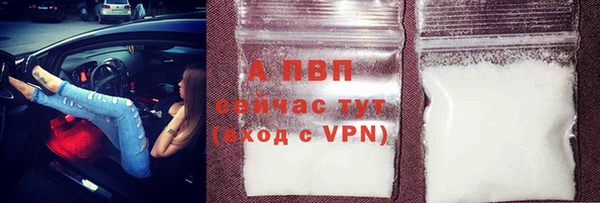 гашик Зерноград